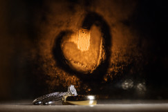 A picture of Annie and Chris's rings at their wedding in Katy, Texas at Agave Real