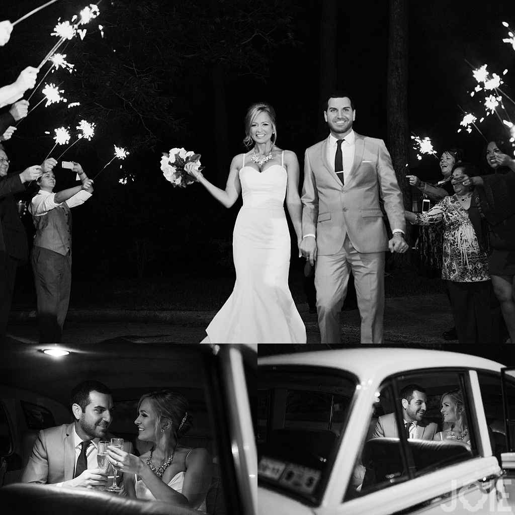 Brittiny and Justin's Houston wedding photography
